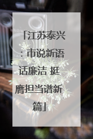 江苏泰兴：市说新语话廉洁 挺膺担当谱新篇