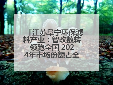 江苏阜宁环保滤料产业：智改数转领跑全国 2024年市场份额占全国三分之一