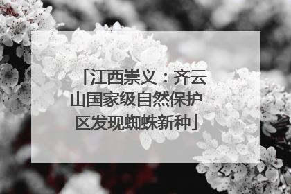 江西崇义：齐云山国家级自然保护区发现蜘蛛新种