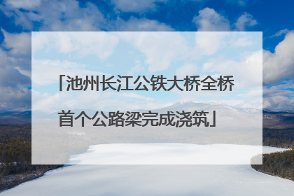 池州长江公铁大桥全桥首个公路梁完成浇筑
