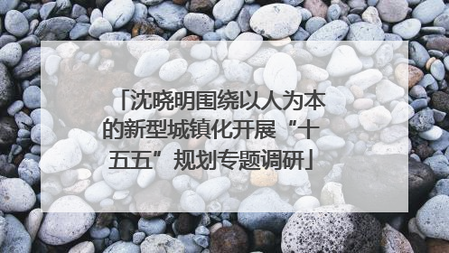 沈晓明围绕以人为本的新型城镇化开展“十五五”规划专题调研