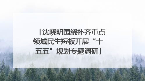 沈晓明围绕补齐重点领域民生短板开展“十五五”规划专题调研