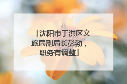 沈阳市于洪区文旅局副局长彭勃，职务有调整