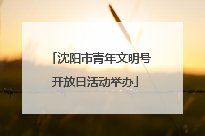 沈阳市青年文明号开放日活动举办