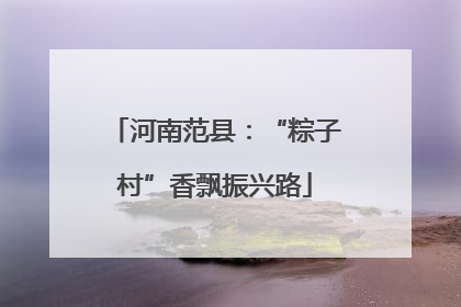 河南范县：“粽子村”香飘振兴路