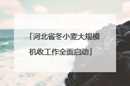 河北省冬小麦大规模机收工作全面启动