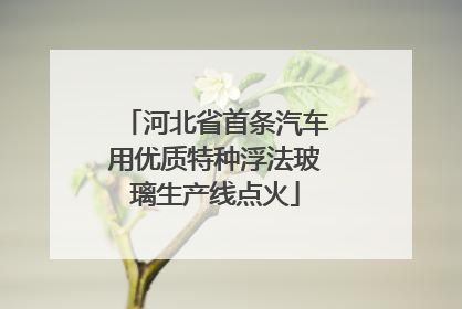河北省首条汽车用优质特种浮法玻璃生产线点火