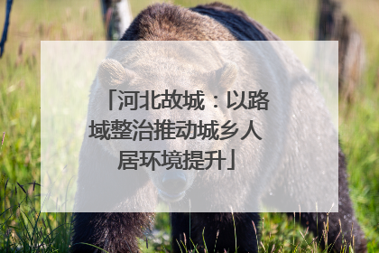 河北故城：以路域整治推动城乡人居环境提升