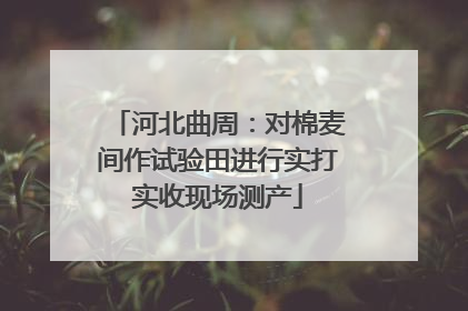 河北曲周：对棉麦间作试验田进行实打实收现场测产