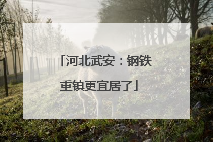 河北武安：钢铁重镇更宜居了