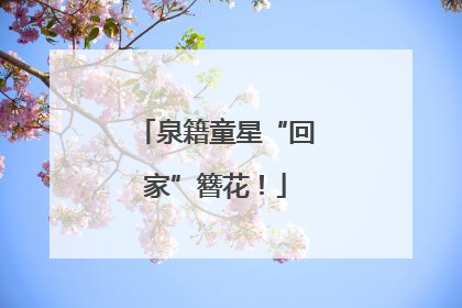 泉籍童星“回家”簪花！