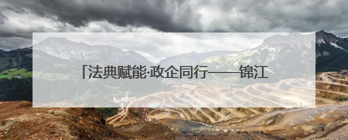 法典赋能·政企同行——锦江区2025年“民法典宣传月”汇聚力量 助推企业发展