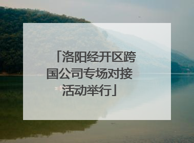 洛阳经开区跨国公司专场对接活动举行
