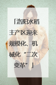洛阳水稻主产区迎来规模化、机械化“二次变革”