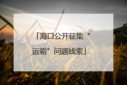 海口公开征集“运霸”问题线索