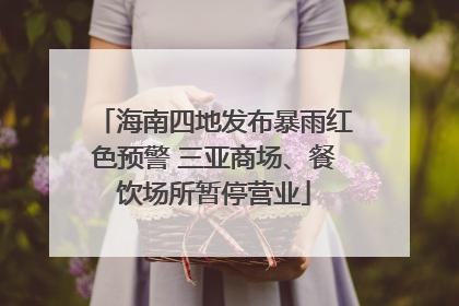 海南四地发布暴雨红色预警 三亚商场、餐饮场所暂停营业