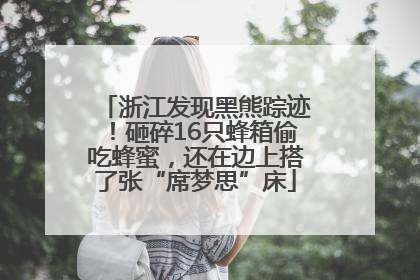 浙江发现黑熊踪迹！砸碎16只蜂箱偷吃蜂蜜，还在边上搭了张“席梦思”床