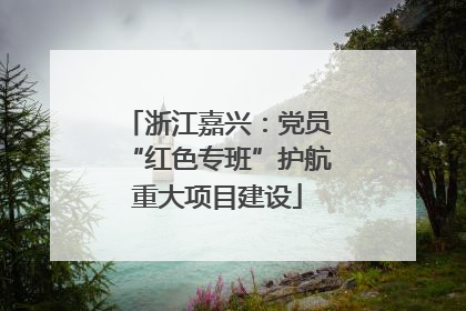 浙江嘉兴：党员“红色专班”护航重大项目建设