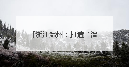 浙江温州：打造“温暖之家”吸引两岸“家人”相聚谋发展