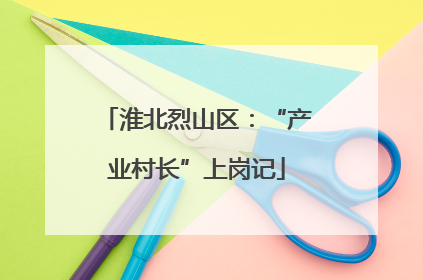淮北烈山区：“产业村长”上岗记