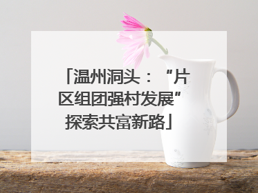 温州洞头：“片区组团强村发展”探索共富新路