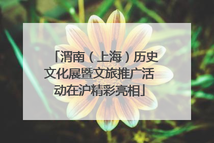 渭南（上海）历史文化展暨文旅推广活动在沪精彩亮相