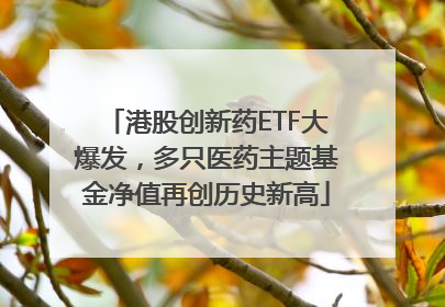 港股创新药ETF大爆发，多只医药主题基金净值再创历史新高