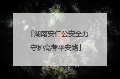 湖南安仁公安全力守护高考平安路