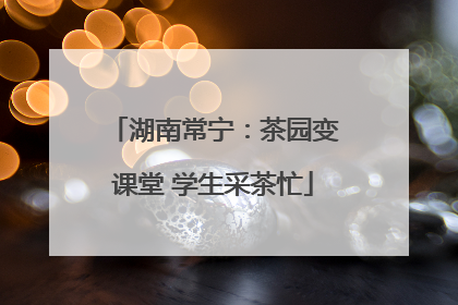 湖南常宁：茶园变课堂 学生采茶忙