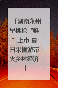 湖南永州早桃抢“鲜”上市 夏日采摘游带火乡村经济