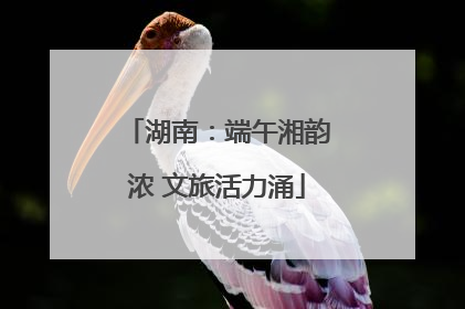 湖南：端午湘韵浓 文旅活力涌