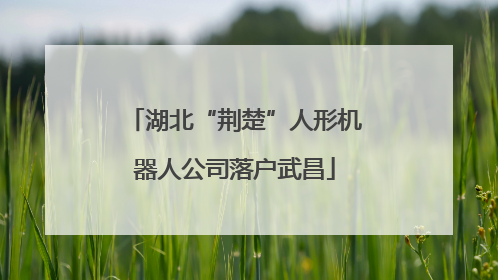 湖北“荆楚”人形机器人公司落户武昌