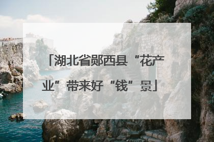 湖北省郧西县“花产业”带来好“钱”景