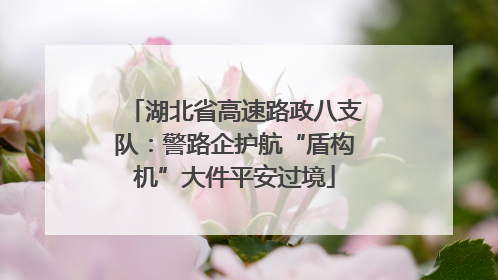 湖北省高速路政八支队：警路企护航“盾构机”大件平安过境