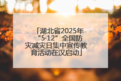 湖北省2025年“5·12”全国防灾减灾日集中宣传教育活动在汉启动