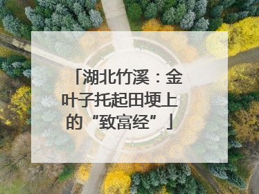湖北竹溪：金叶子托起田埂上的“致富经”