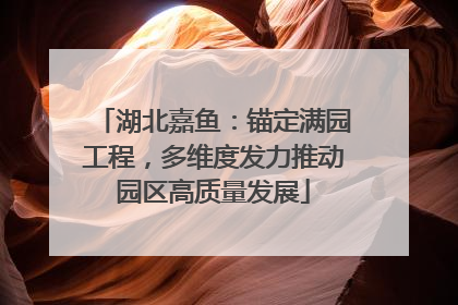 湖北嘉鱼：锚定满园工程，多维度发力推动园区高质量发展