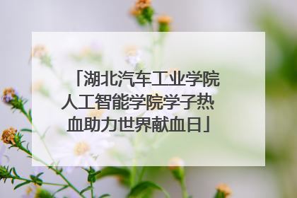 湖北汽车工业学院人工智能学院学子热血助力世界献血日