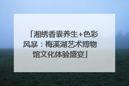 湘绣香囊养生+色彩风暴：梅溪湖艺术博物馆文化体验盛宴