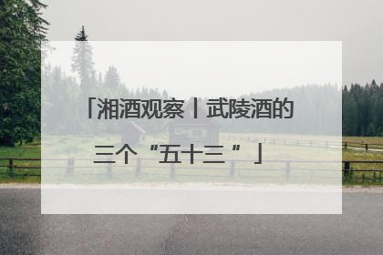湘酒观察丨武陵酒的三个“五十三 ”