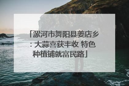 漯河市舞阳县姜店乡：大蒜喜获丰收 特色种植铺就富民路