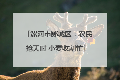 漯河市郾城区：农民抢天时 小麦收割忙