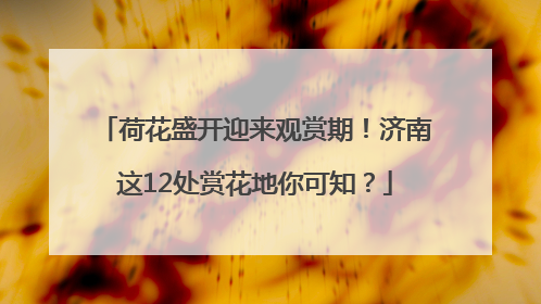荷花盛开迎来观赏期！济南这12处赏花地你可知？