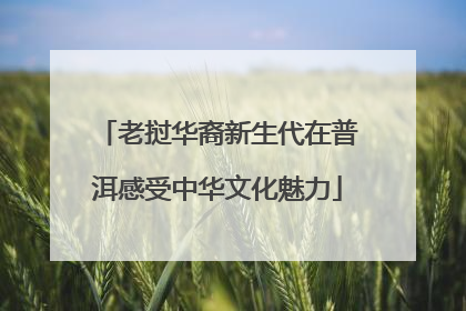 老挝华裔新生代在普洱感受中华文化魅力