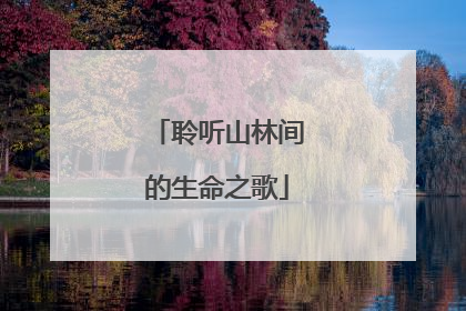 聆听山林间的生命之歌