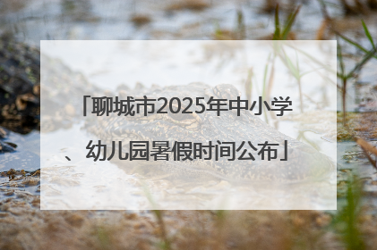 聊城市2025年中小学、幼儿园暑假时间公布