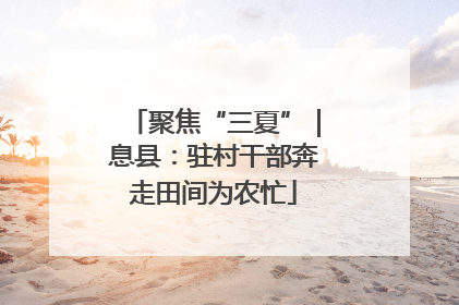 聚焦“三夏”｜息县：驻村干部奔走田间为农忙