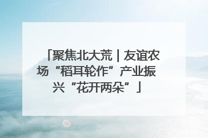 聚焦北大荒｜友谊农场“稻耳轮作”产业振兴“花开两朵”
