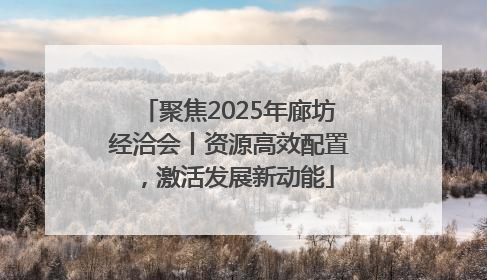 聚焦2025年廊坊经洽会丨资源高效配置，激活发展新动能