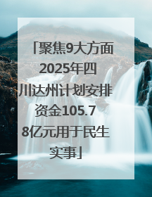 聚焦9大方面 2025年四川达州计划安排资金105.78亿元用于民生实事
